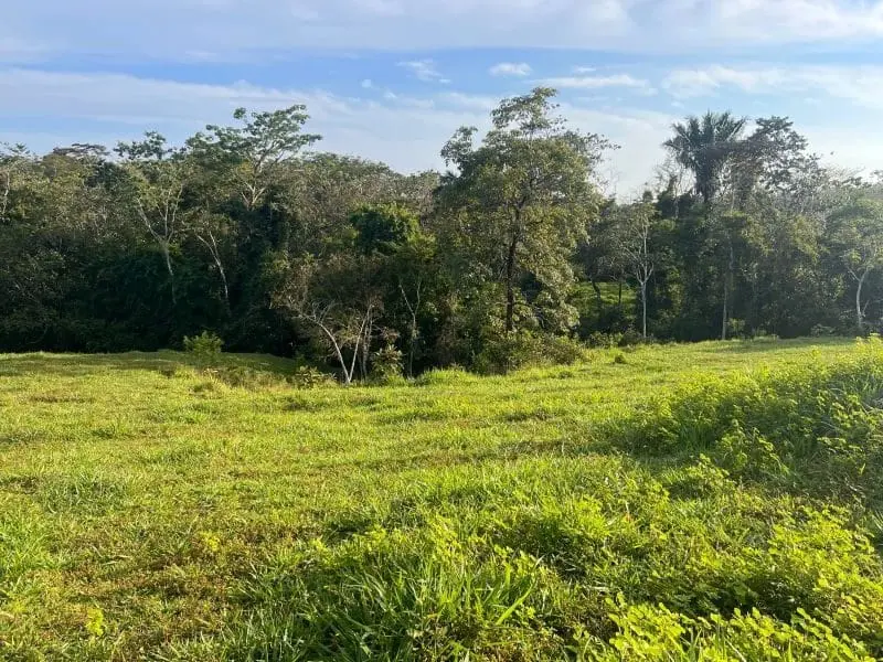 Montezuma Scenic Lots photo 9